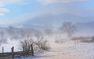 Obraz na płótnie Canvas Winter field in a storm