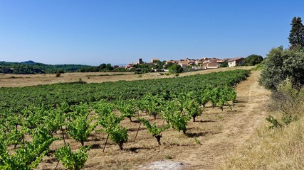 Fototapeta na wymiar Village d’Assignan, Languedoc-Roussillon, Occitanie, France