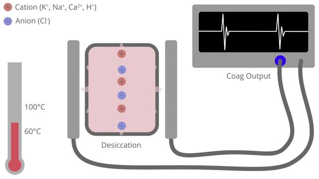Electrosurgery Conversion of Radiofrequency Energy to Heat for Desiccation Animation with American Labeling