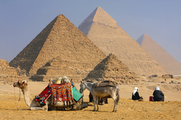 the great  pyramids in giza cairo egypt with bedouins and camel  - obrazy, fototapety, plakaty