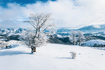Fototapeta na wymiar Transylvania in wintertime, Romania
