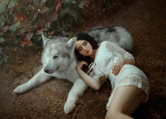 A petite girl with dark hair and soft cute face features is lying on gray-white forest wolf, doll...