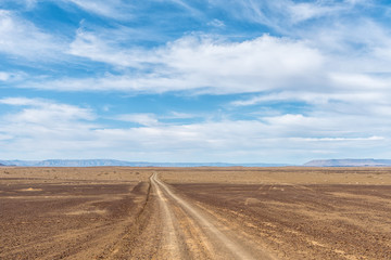 Fototapeta na wymiar Road in a drought stricken part of the Tankwa Karoo