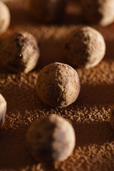 sweet chocolate truffles on the black background