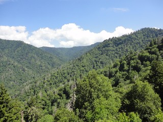Fototapeta na wymiar Mountain Top view in the Appalachian mountains in TN 