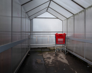 letzter roter Einkaufswagen