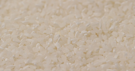 Paddy rice in pile
