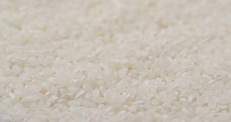Stack of white uncooked rice