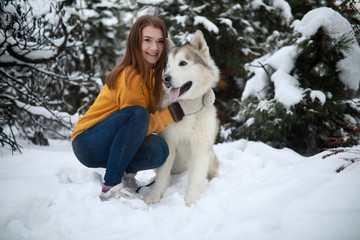 Girl is hugging dog Alaskan Malamute in winter forest.