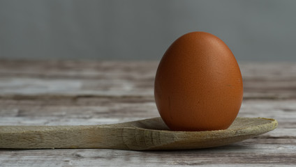 egg