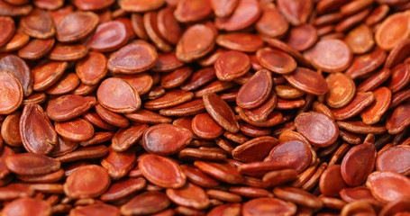 Red watermelon seed for chinese new year