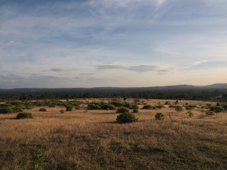 Fototapeta premium Weite Landschaft