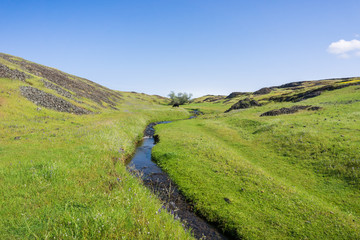 Seasonal creek running on the verdant plain of North Table Mountain Ecological Reserve, Oroville, California