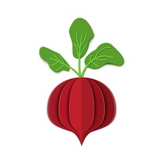 Paper cut red beet. Vector paper cut design in the form of ripe whole beetroot isolated on white background. Vector illustration. Paper applique art style root vegetable. Origami concept