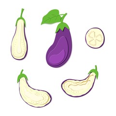 Set of paper cut purple eggplant and green leaf. Vector paper cut design in the form of ripeeggplant whole and slice. Vector illustration. Paper applique art style vegetable. Origami concept.