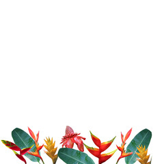Obraz premium Photo collage of tropical flowers and leaves