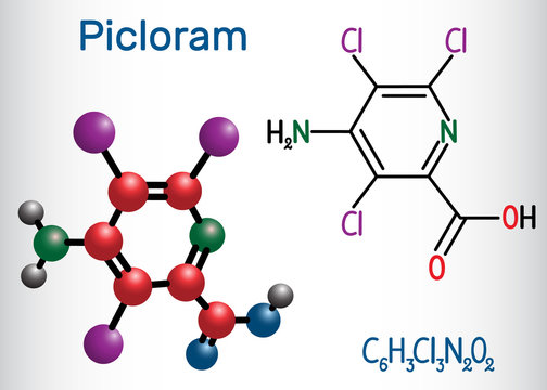 Picloram molecule. Structural chemical formula and molecule model