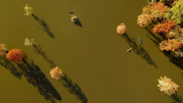Two Kayakers Navigate The Murky Waters of Stumpy Lake, Virginia. Aerial Bird's Eye View