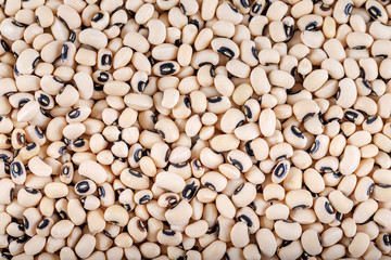 White kidney beans, background