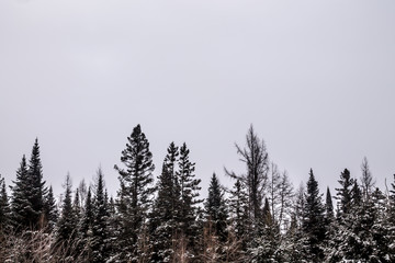 winter photographs from a park walking along the St-Catherine de la Jacques Quartier River in Quebec City