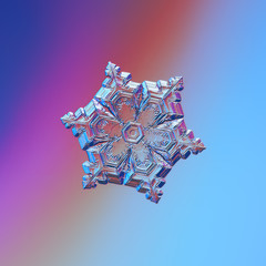 Snowflake glittering on smooth gradient background. Macro photo of real snow crystal: elegant star...