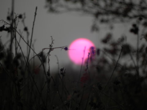Awesome red-pink sun in the evening sky. The desert sands of Kara Kum eclipsed the sun after a hurricane. © Олег Копьёв