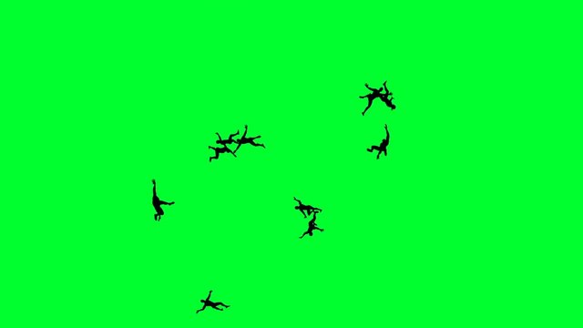 People free Falling on a Green Screen