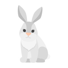 Fototapeta na wymiar Funny cute rabbit with a white fur.