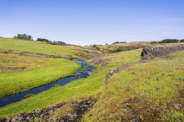 Fototapeta premium Seasonal creek running on the verdant plain of North Table Mountain Ecological Reserve, Oroville, California