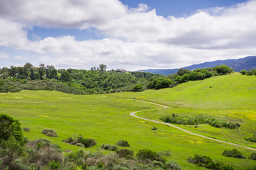 Fototapeta na wymiar Hiking trail on the verdant hills on Edgewood County Park, San Francisco bay, California
