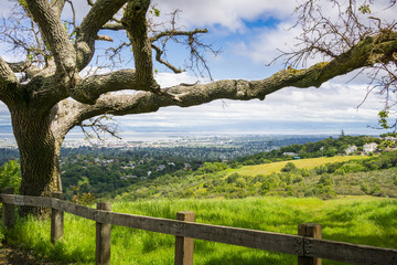 View towards Redwood City and Silicon Valley from Edgewood County Park, San Francisco bay, California