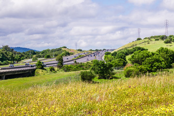 Highway in San Francisco bay area, wildflowers blooming on the hills of Edgewood county park,...