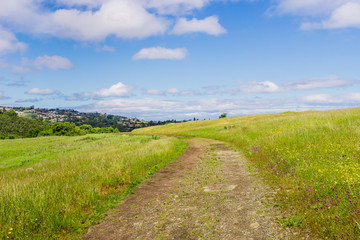 Obraz premium Hiking trail on the verdant hills on Edgewood County Park, San Francisco bay, California