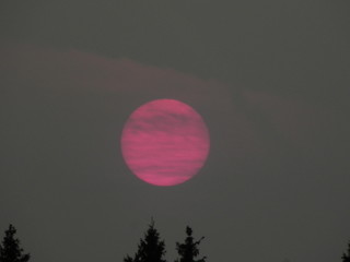 Awesome red-pink sun in the evening sky. The desert sands of Kara Kum eclipsed the sun after a...