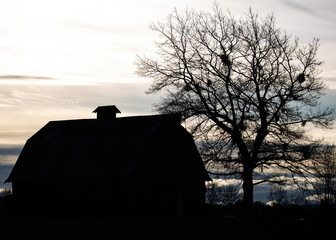silhouette of barn and tree
