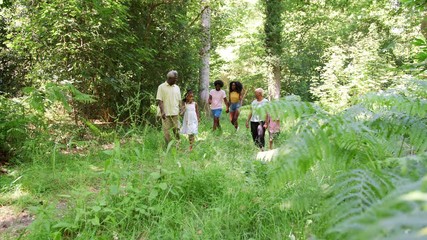 Multi generation black family walking in forest, laughing