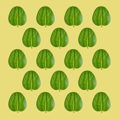 Close up green leaves pattern background photo