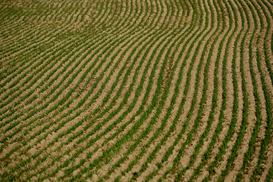 tractors sowing and working fields in the province of alava (the Basque country)