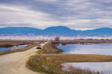 Cars driving on the auto tour route through the restored wetlands of Sacramento National Wildlife Refuge, California