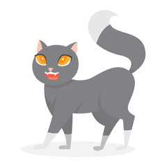 Cute funny cat with grey fur walking