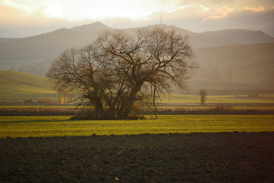 tractors sowing and working fields in the province of alava (the Basque country)