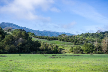 Green meadow on a sunny morning in Rancho San Antonio County Park, Santa Cruz mountains, Cupertino, Santa Clara county, California