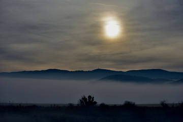 amanecer con espesa niebla en el barrio de Salburua en la ciudad de Vitoria-Gasteiz (Alava), País...