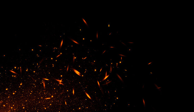 Perfect fire particles embers sparks on black background . Texture overlays.