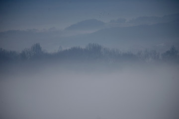 Naklejka premium amanecer con espesa niebla en el barrio de Salburua en la ciudad de Vitoria-Gasteiz (Alava), País Vasco, España