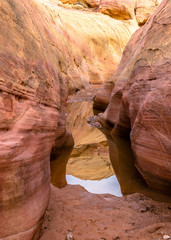 Valley of Fire - Pink Canyon 3