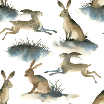 Watercolor illustartion of brown wild hare on white background. Seamles pattern about rabbit on the meadow