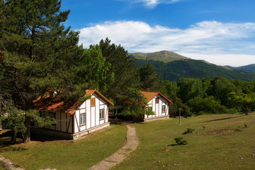 Fototapeta na wymiar Beautiful cottages in the background of the mountains on a summer day