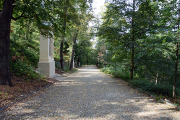 Petrin hill public park lane, trees and shades on a nice summer day in Prague, Czech Republic 