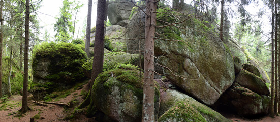 Felsen an der Wei&szlig;mainquelle